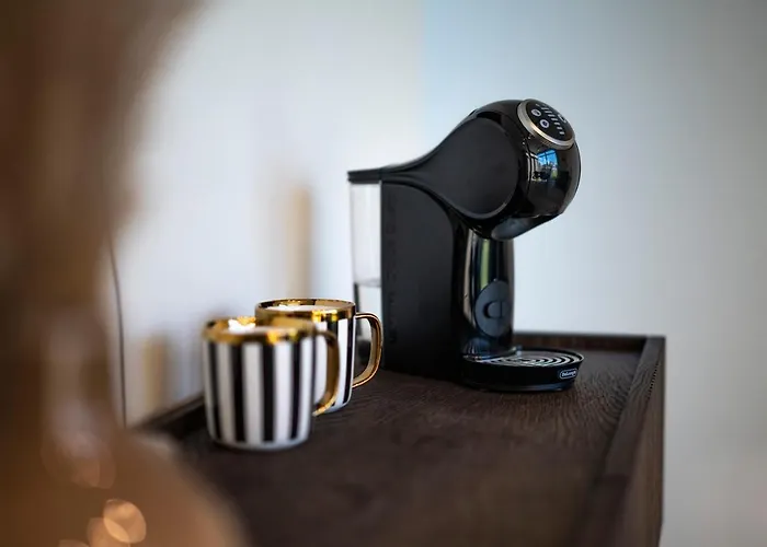 Lazy House 克莱佩达