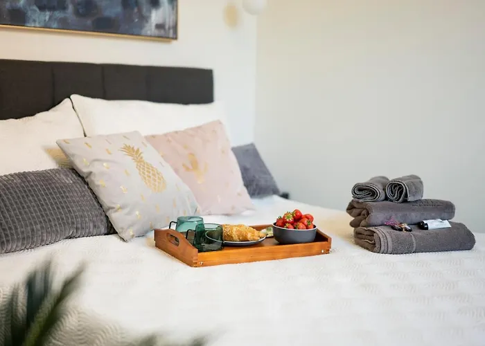 Lazy House 克莱佩达