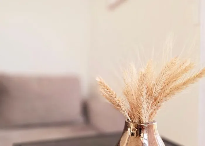 Lazy House * 克莱佩达