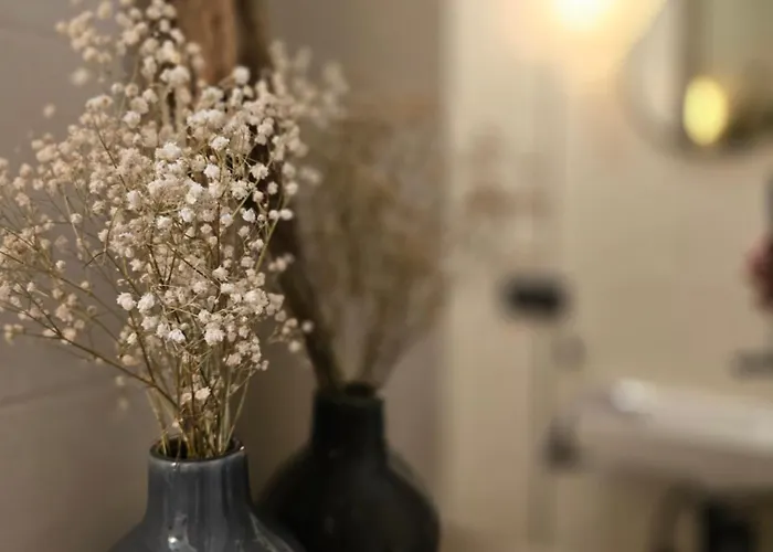 Lazy House * 克莱佩达